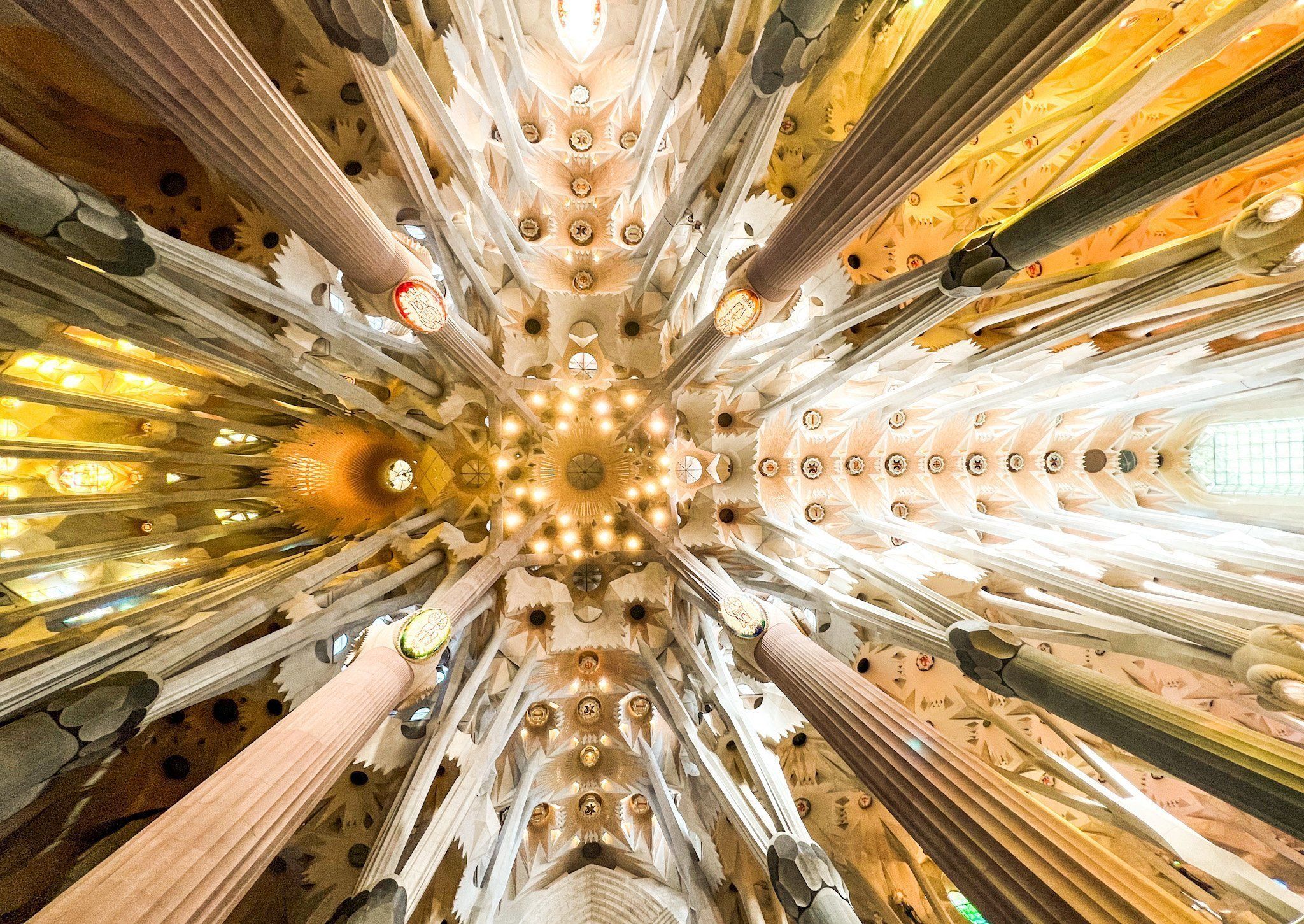 A photograph showing the intricate ceiling of La Sagrada Família in Barcelona. It shows the symmetry of its incredible design by legendary architect, Antoni Gaudí.