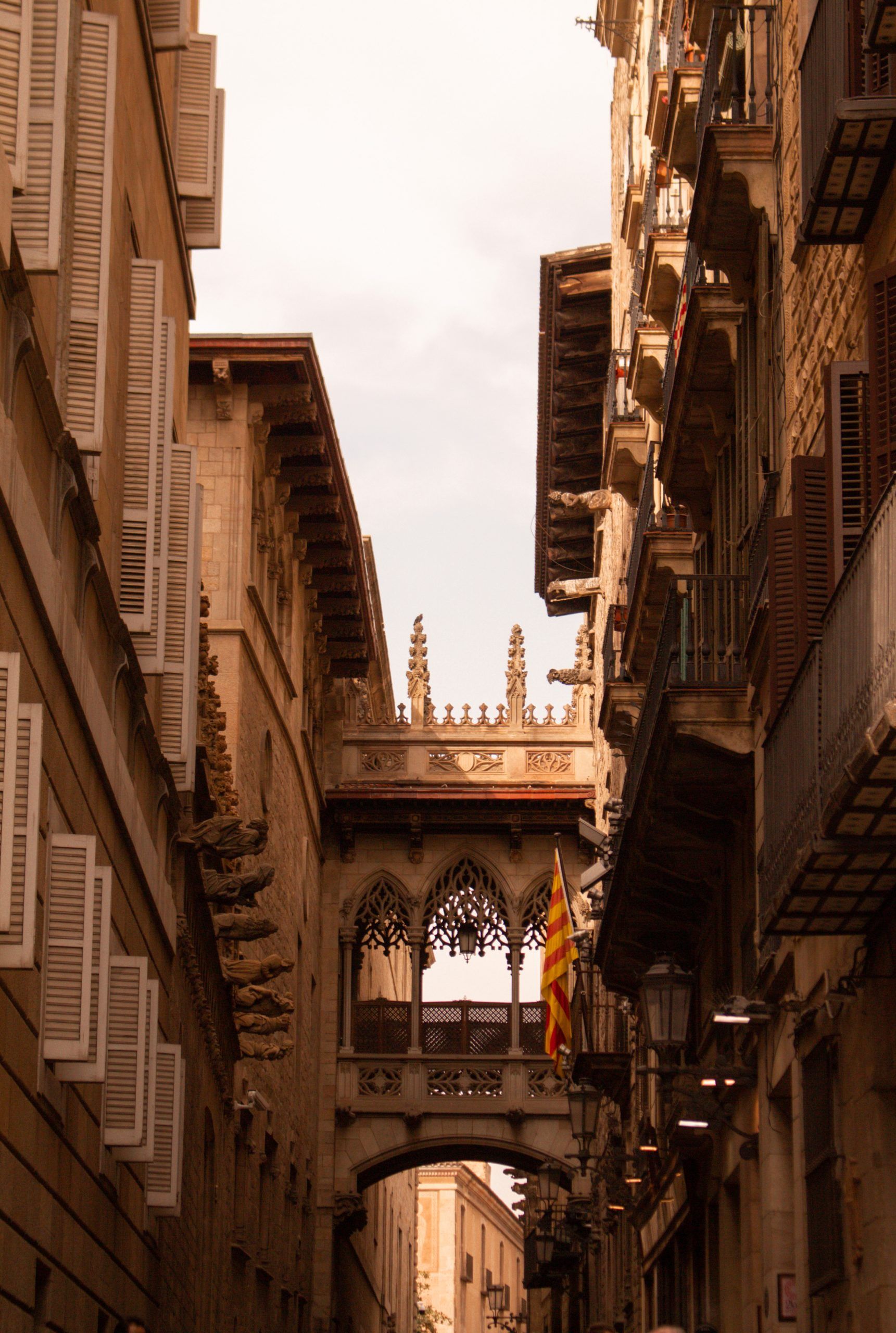 Pont del Bisbe, un hermoso puente de estilo gótico en Barcelona